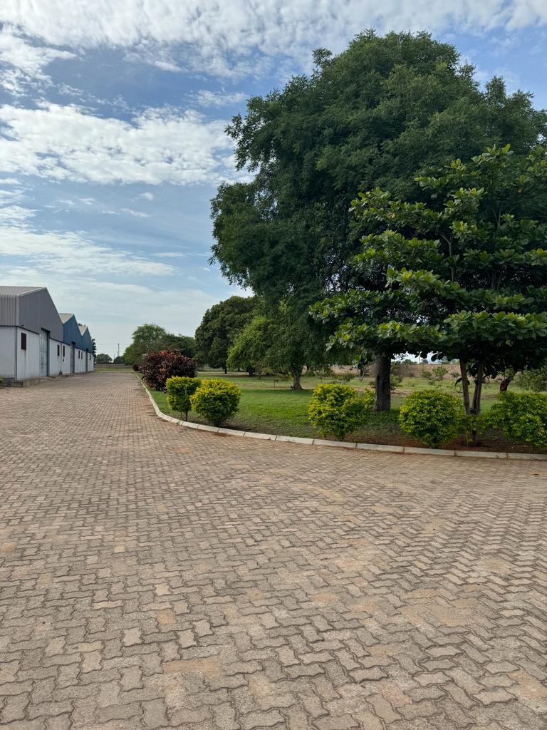 Propriedade com cerca de 2,14 Hectares no Parque Industrial de Beluluane - foto 4